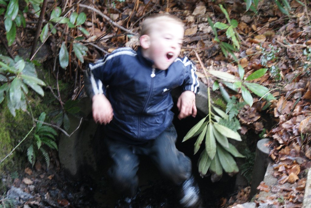 Down in the mud   08